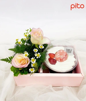 Quà 8/3 set Gift box PITO