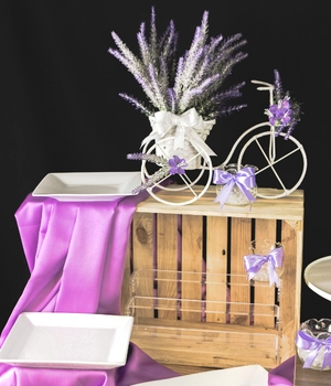 Ý tưởng trang trí Romatic Lavender