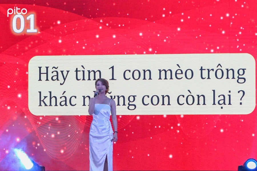 Đố vui Sendo PITO