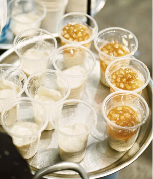 Tàu hủ tại văn phòng