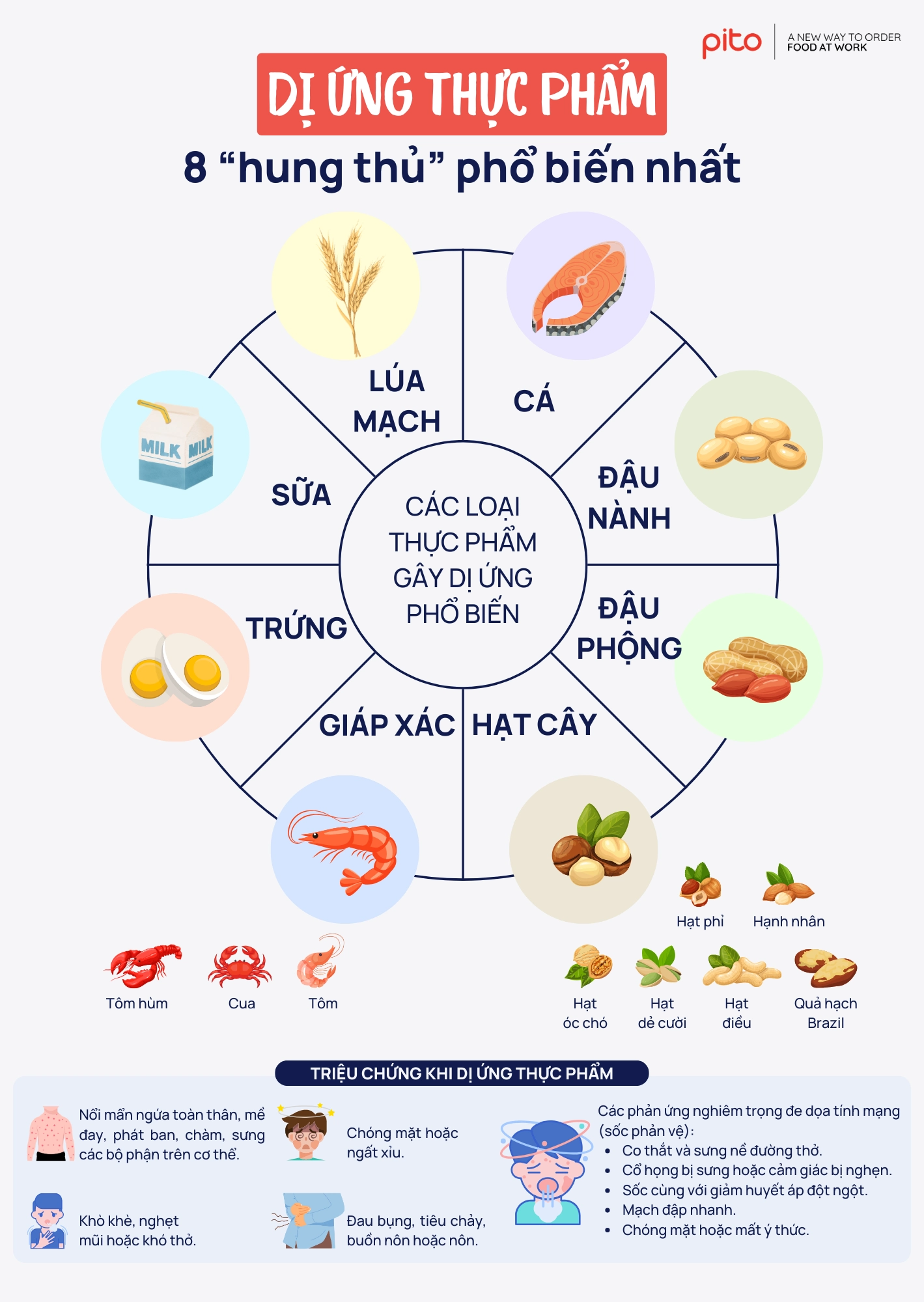 8-loai-thuc-pham-de-gay-di-ung 8 loại thực phẩm dễ gây dị ứng