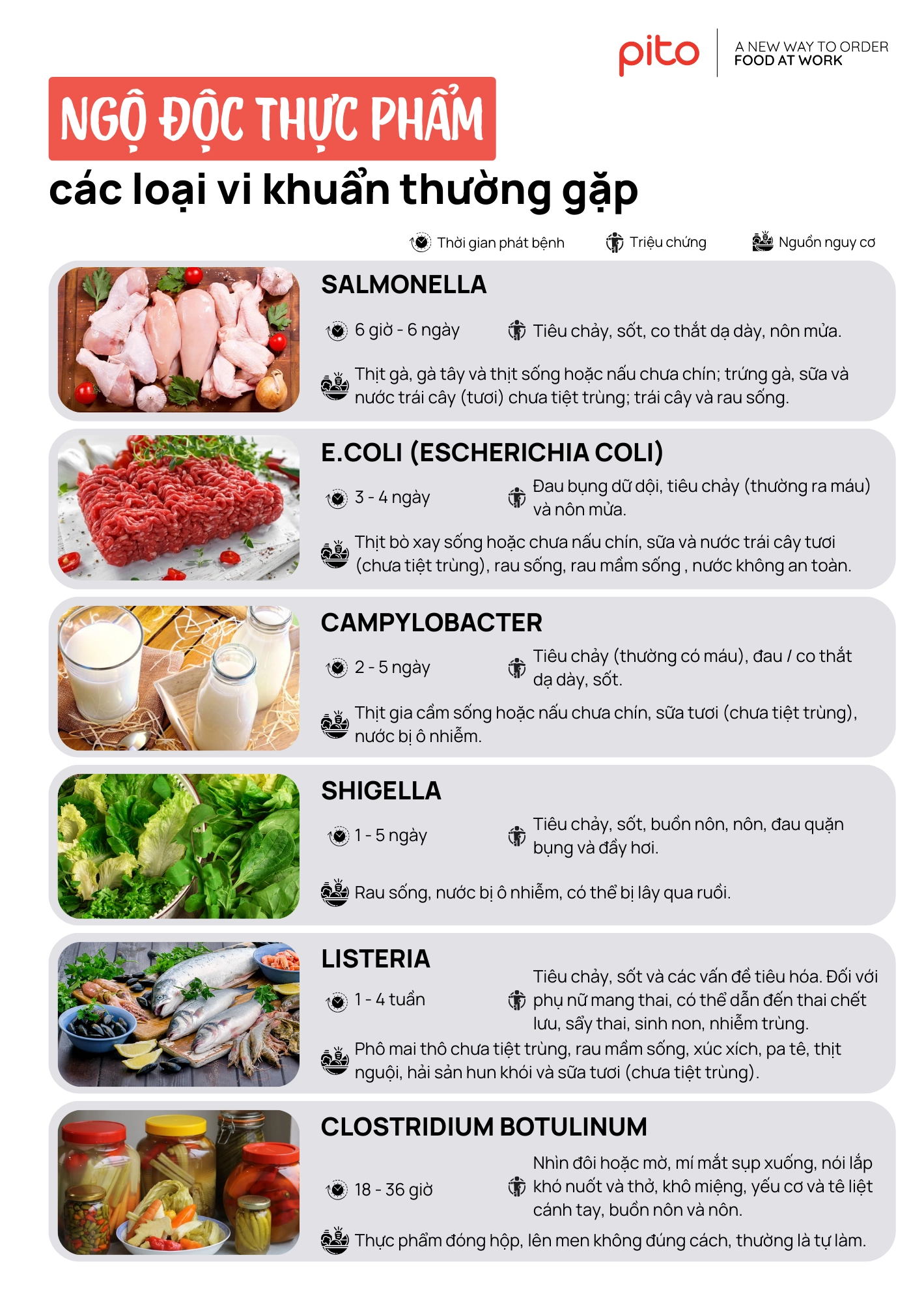 Vi khuẩn gây ngộ độc thực phẩm