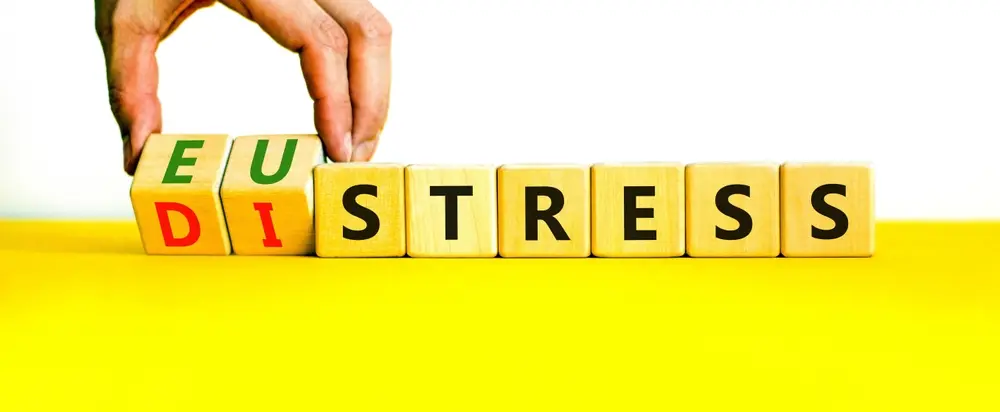 co phai stress luc nao cung hai Có phải stress lúc nào cũng hại