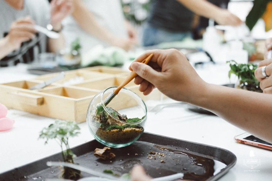 workshop-trong-cay-sang-tao Ảnh minh họa: Workshop Terrarium