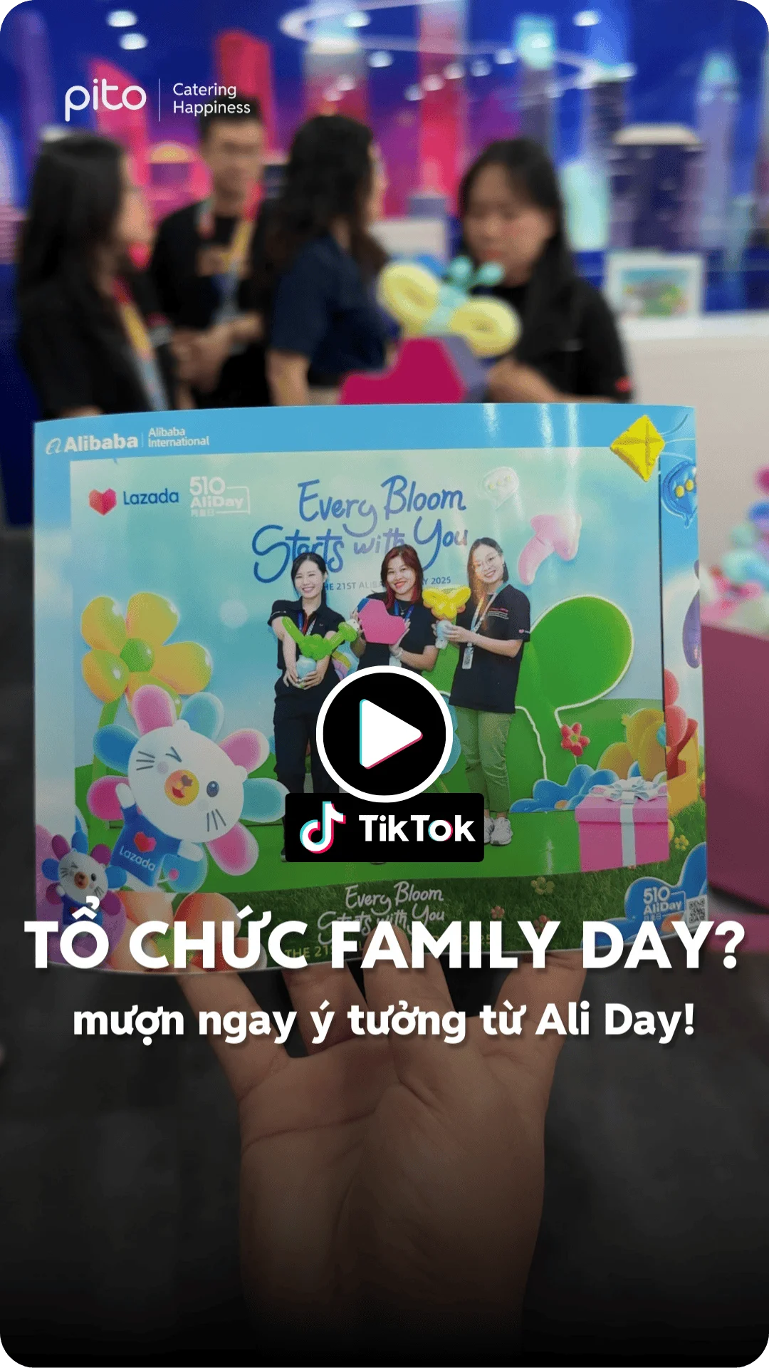 Aliday Lazada video