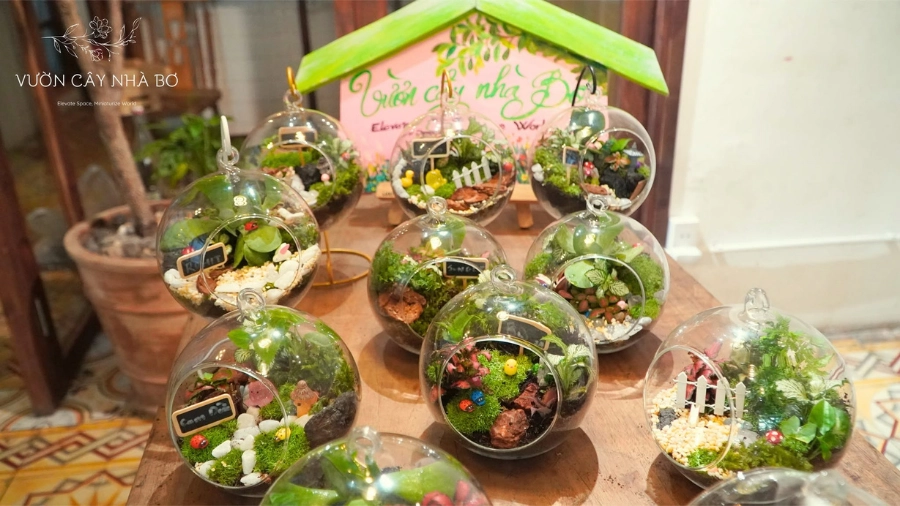 Làm terrarium