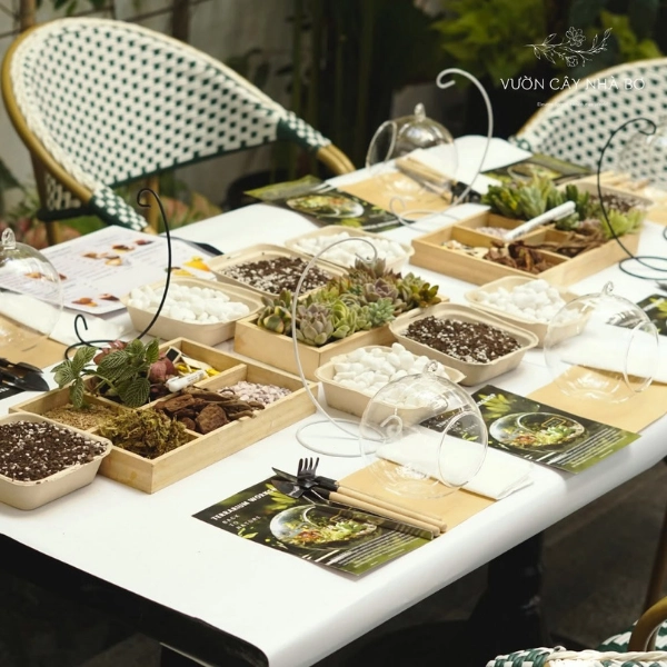 Workshop làm terrarium