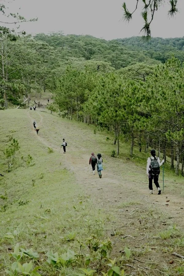 Trekking tại UP Tà Năng – ảnh 2