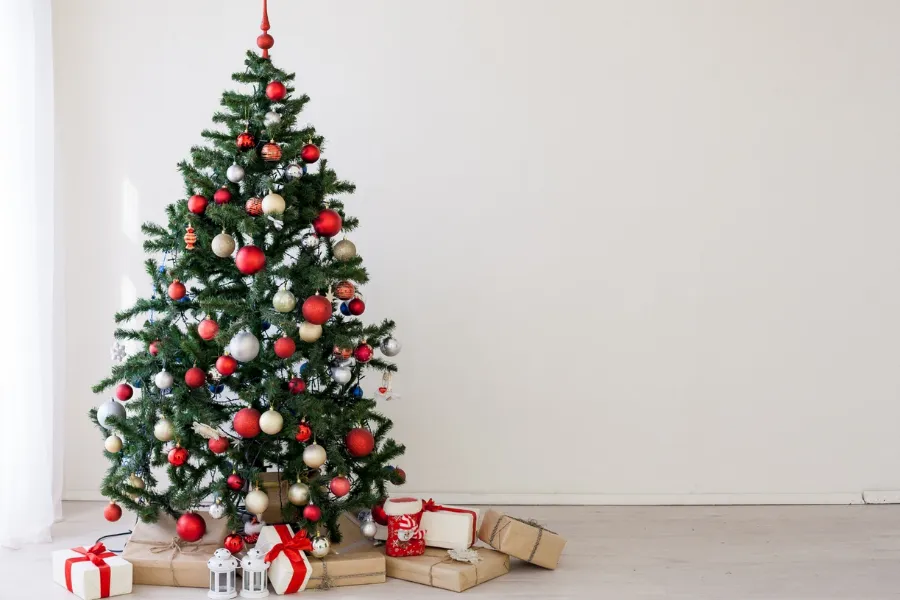 Trang trí Giáng sinh với cây thông
